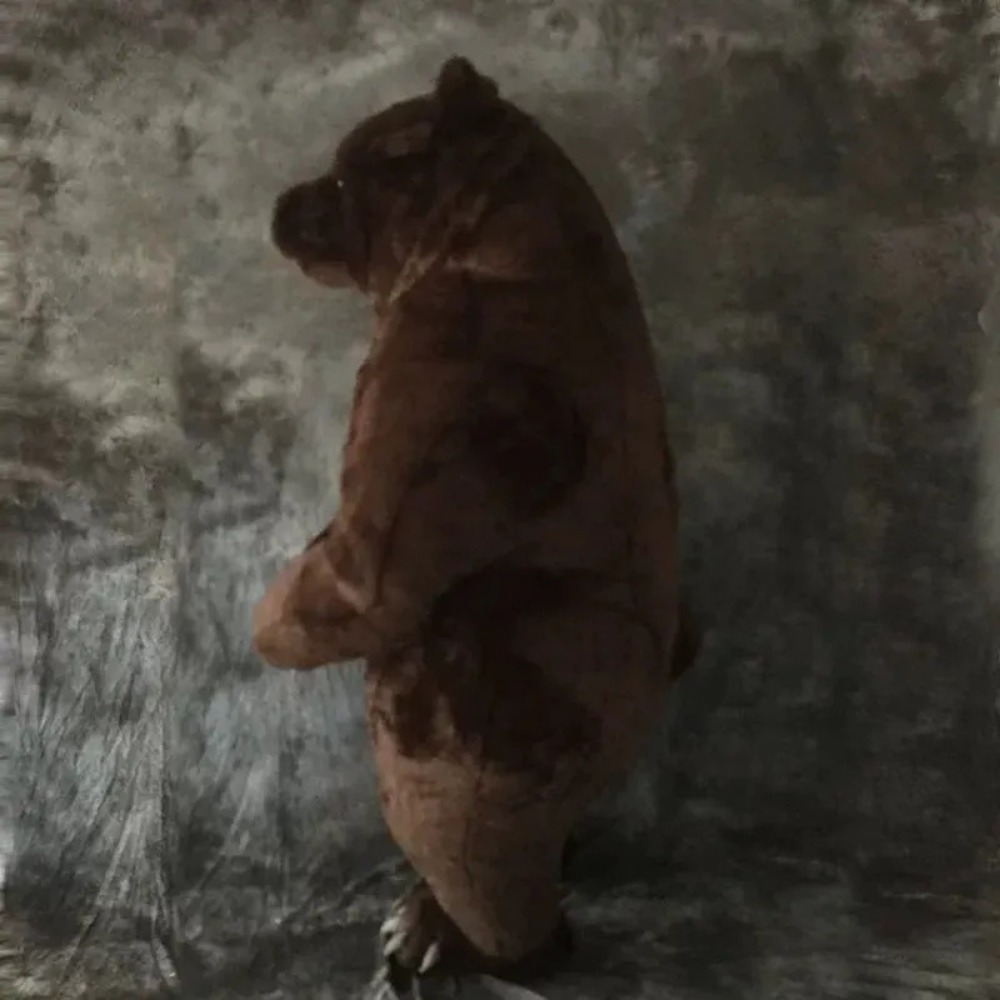 Opblaasbaar bruin beer mascott - Costumes recensie en prijs